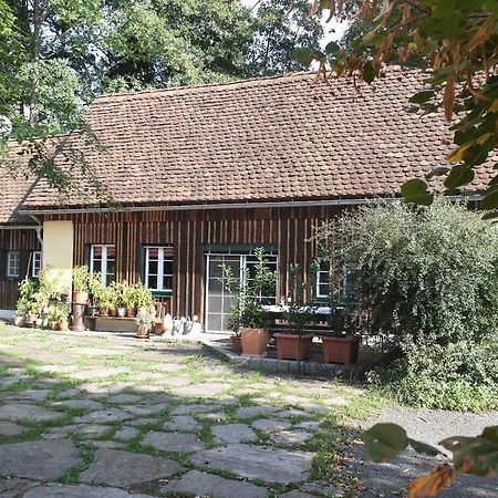 Willa Presshaus Alte Muehle Stainz Zewnętrze zdjęcie