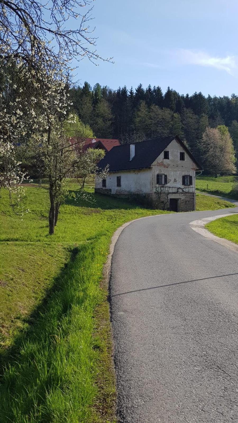 Willa Presshaus Alte Muehle Stainz Zewnętrze zdjęcie