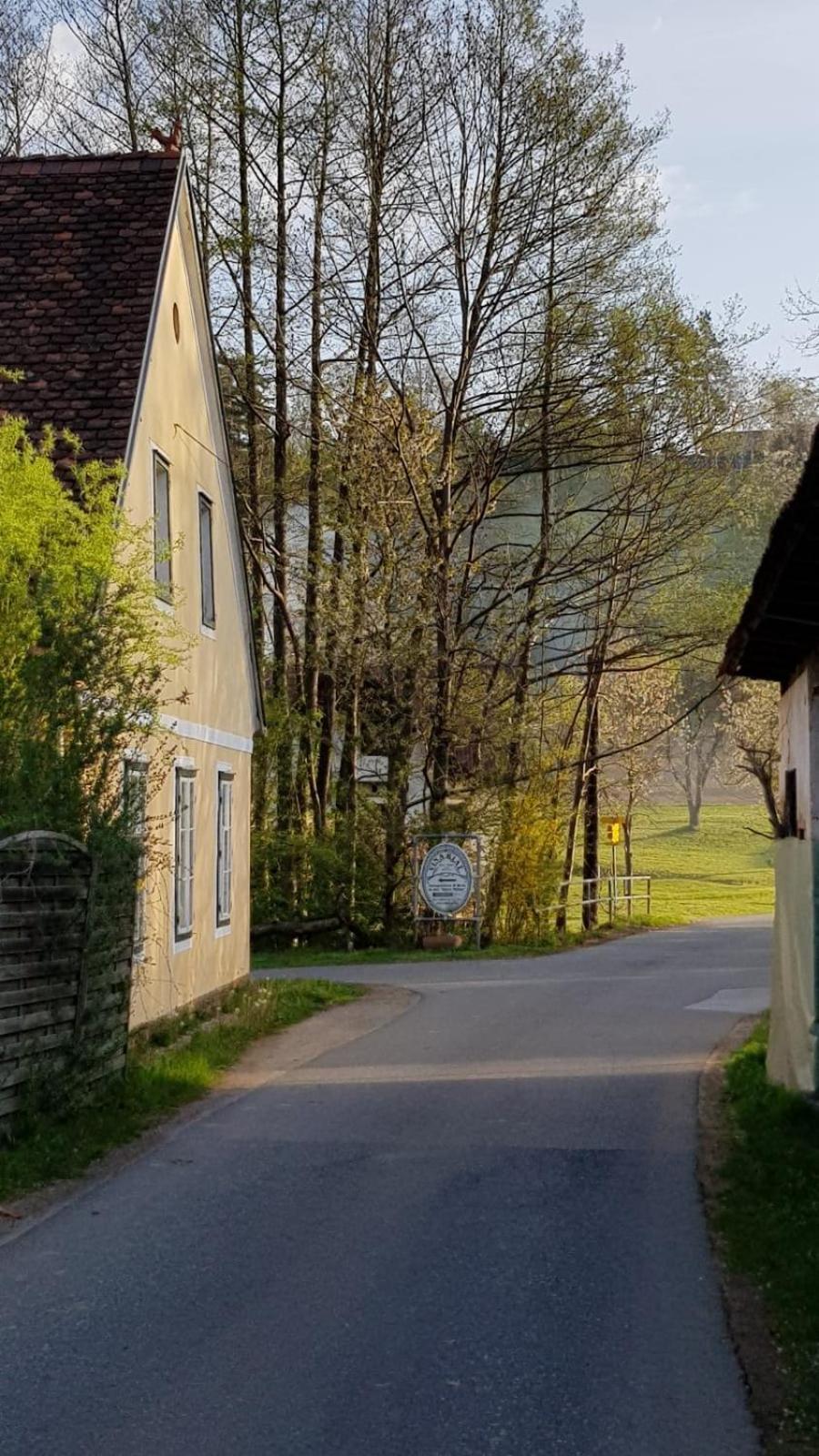 Willa Presshaus Alte Muehle Stainz Zewnętrze zdjęcie